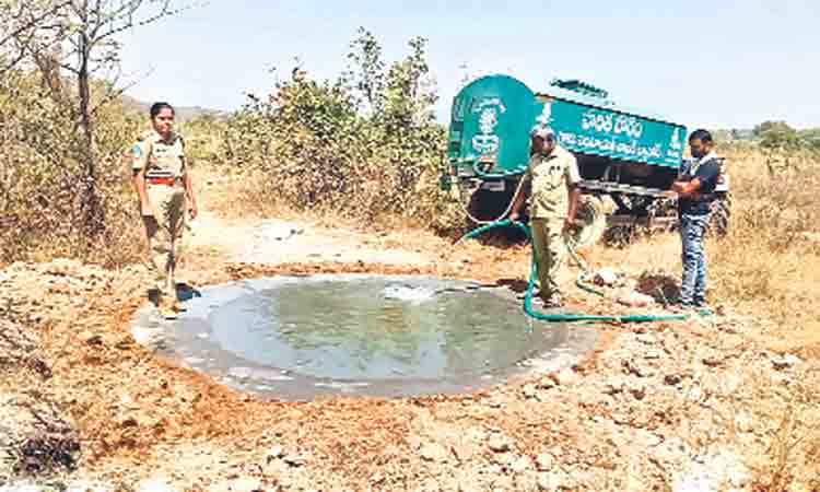 వన్యప్రాణులకు నీటి తొట్టీలు