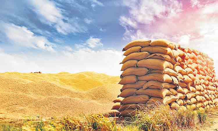 బీజేపీ.. నీ పతా ఉండదిక!