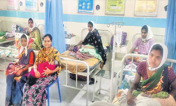 ఒకేరోజు ఏడు సాధారణ కాన్పులు