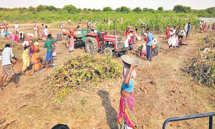 14.40 కోట్ల పని దినాలు