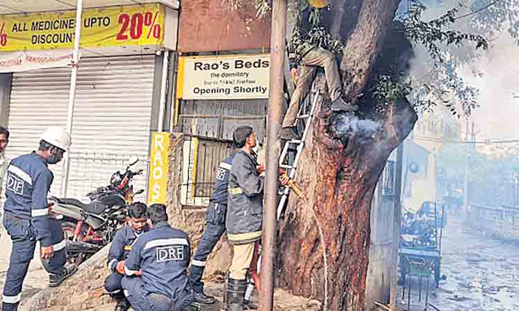 చింతచెట్టు నుంచి పొగలు