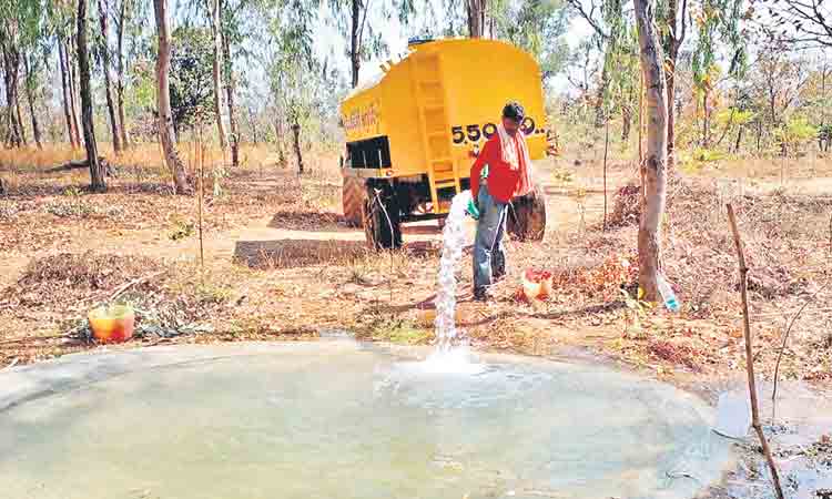వన్యప్రాణుల రక్షణకు పటిష్ఠ చర్యలు