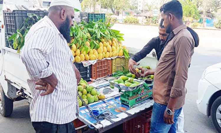 మామిడిపండ్లు మస్తు పిరం