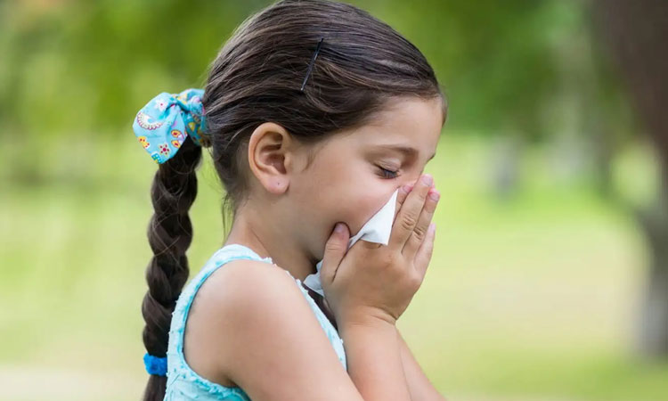 అడుగడుగునా అలర్జీ