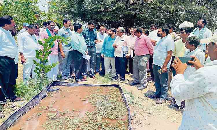 ఆర్థికంగా రాణించాలి