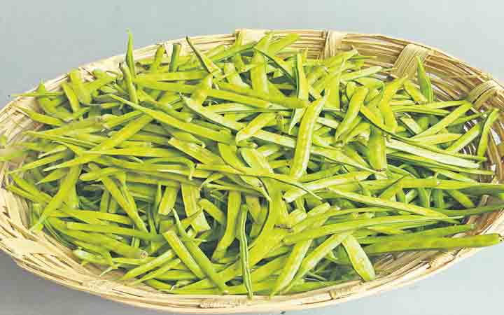 కరువు రైతుల కల్పతరువు!