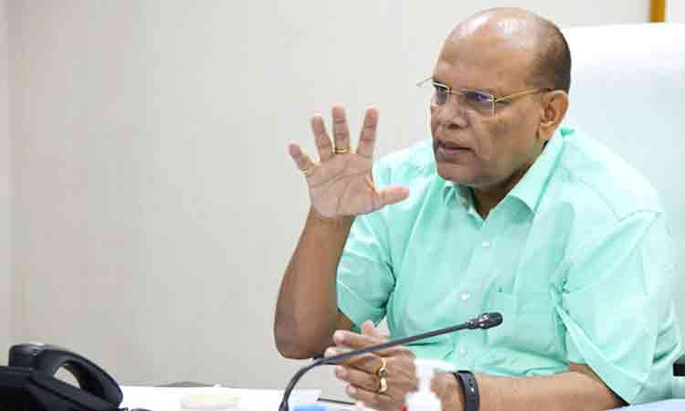 హరితహారంలో 19.54 కోట్ల మొక్కలు