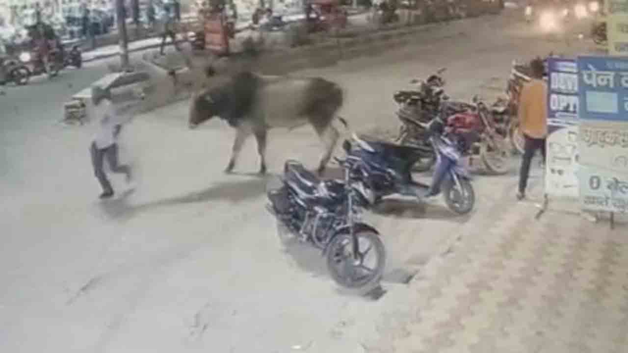 Viral Video: డ్యూటీలో ఉన్న పోలీస్‌పై ఎద్దు దాడి… తర్వాత ఏం జరిగిందంటే?