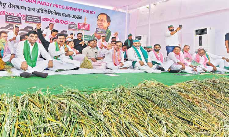 పిడికిలెత్తిన వరి కంకులు