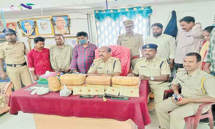 గంజాయి ముఠాలపై ఉక్కుపాదం..!