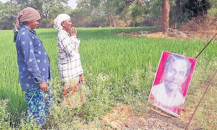 ధాన్యం కొనుగోలు ప్రకటనపై గ్రామాల్లో రైతుల సంబురాలు