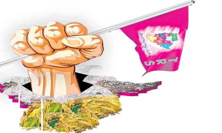 బియ్యం ఉప్పుడు.. మాటలు తప్పుడు !