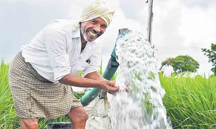 రైతన్నకు భరోసా.. తెలంగాణ రాష్ట్రంలో తగ్గిన ఆత్మహత్యలు