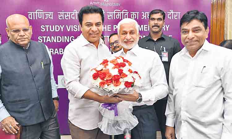 ఈ-కామర్స్‌పై జాతీయ విధానం