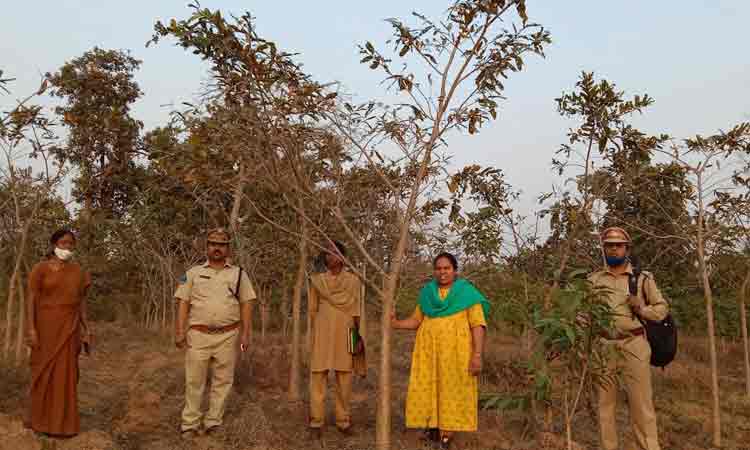 మన్యానికి రాణులు