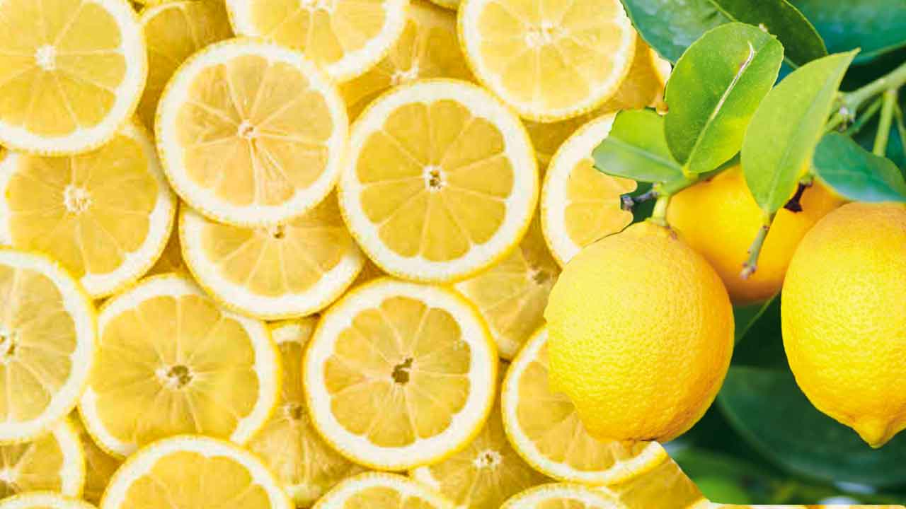 Lemon Price | హైద‌రాబాద్‌లో నిమ్మ‌కాయ ధ‌ర రూ.10.. !