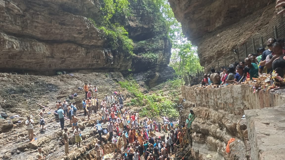 కిక్కిరిసిన నల్లమల