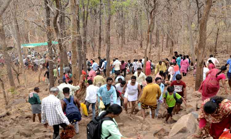 దారులన్నీ సలేశ్వరం వైపే..