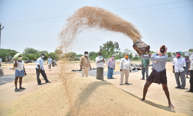 మరో విడుత ఉద్యమం