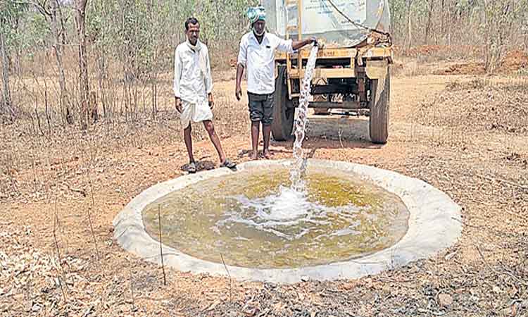 ఎండలతో అల్లాడుతున్న జంతువులు