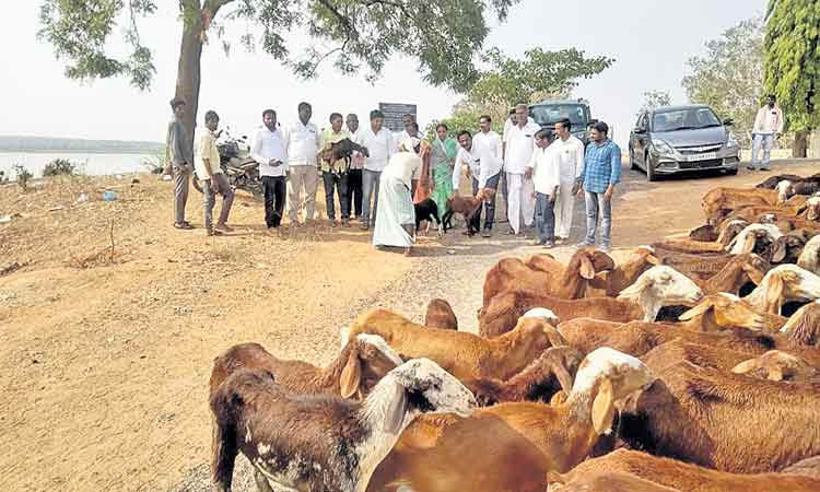 గొల్లకుర్మల ఆర్థికాభివృద్ధికి చేయూత