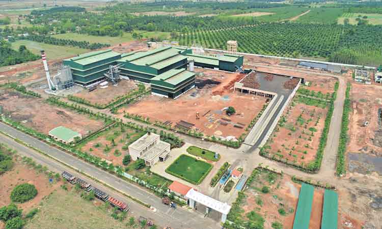 ఆయిల్‌పామ్‌ కు ఊతం