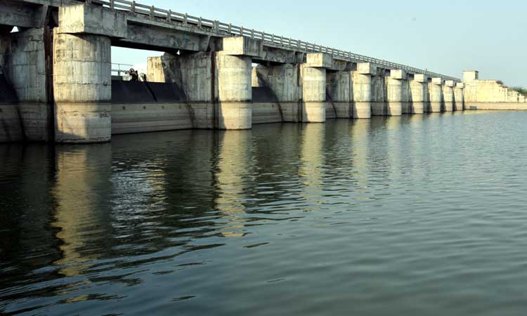 బండి.. తొండి