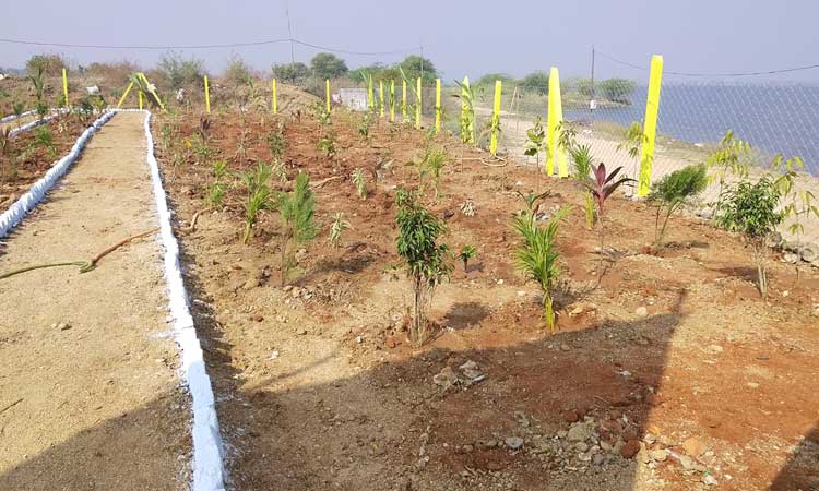 హరితనిధి