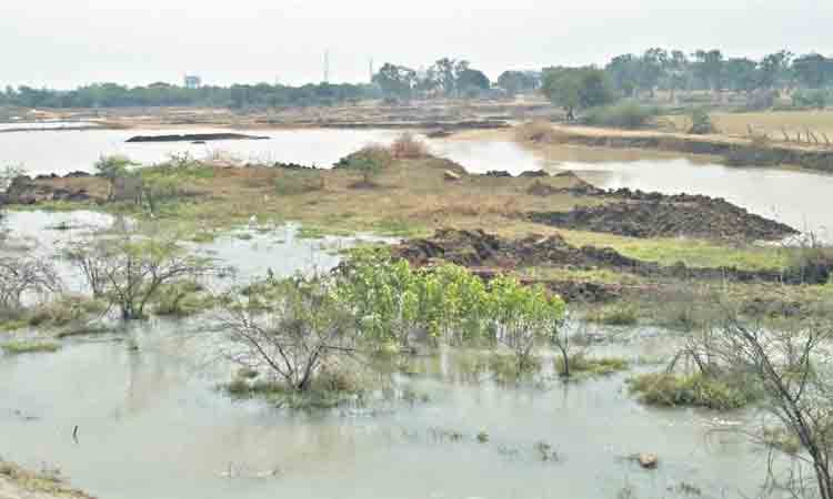 అన్నదాతకు అభయం