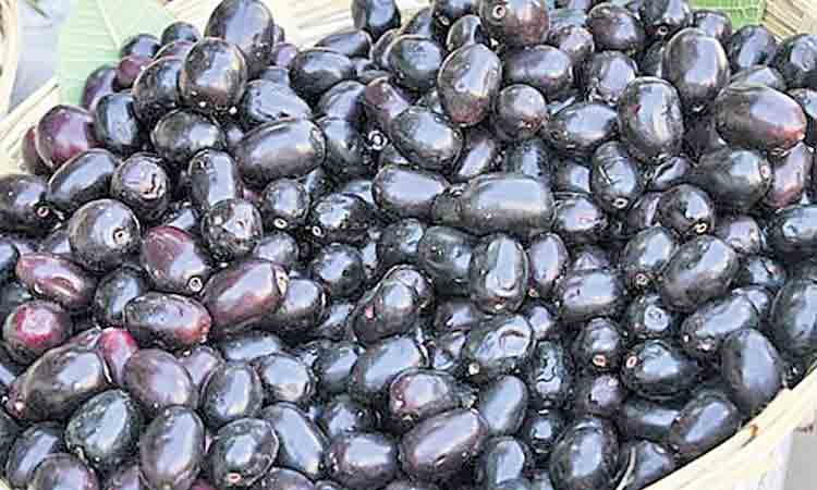 ఆరోగ్య ప్రదాయిని .. అల్లనేరేడు