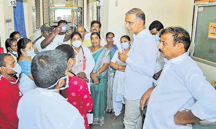 ఆయిల్‌పామ్‌ లాభసాటి పంట