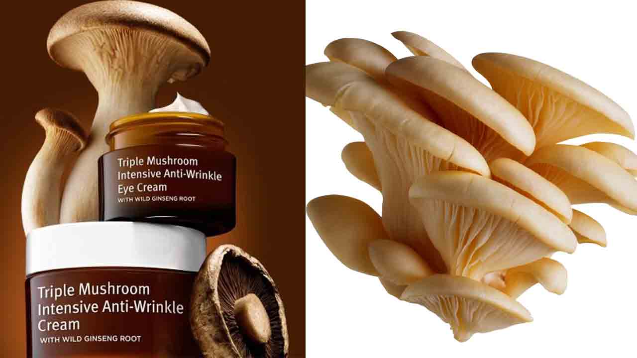 పుట్ట‌గొడుగులు ఆరోగ్యానికే కాదు.. అందాన్ని కూడా పెంచుతాయ‌ని తెలుసా!!