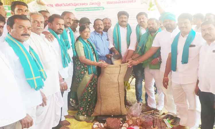 జోరుగా ధాన్యం కొనుగోలు కేంద్రాల ఏర్పాటు