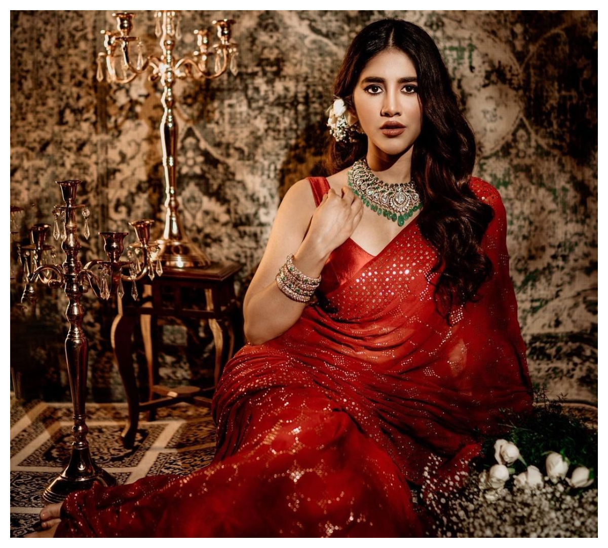 Nabha Natesh | రెడ్ క‌ల‌ర్ శారీలో ఇస్మార్ట్‌గా నభా నటేష్‌..