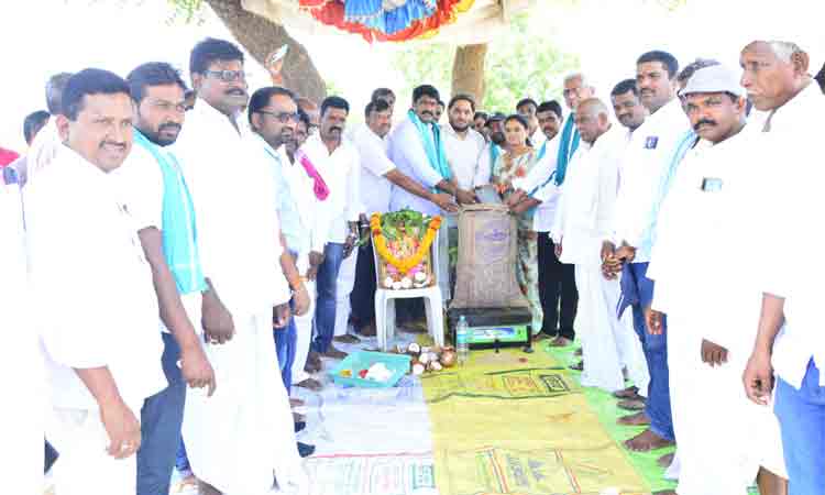 ధాన్యం కొనుగోలు కేంద్రాలు ప్రారంభం