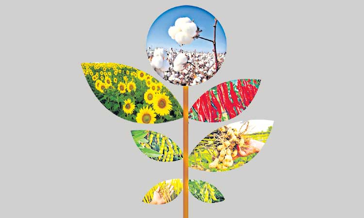 పంటలకు రుణ పరిమితి ఖరారు