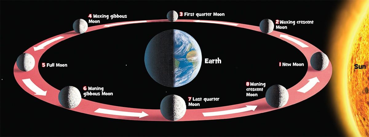 What is the ‘orbit’ shape of the moon | చంద్రుడి ‘ఆర్బిట్’ ఆకారం ఎలా ఉంటుంది?