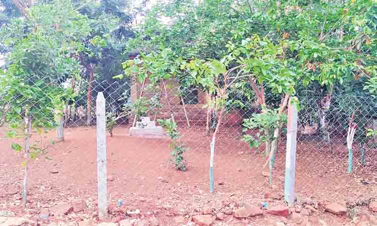 పచ్చందాల పాఠశాల