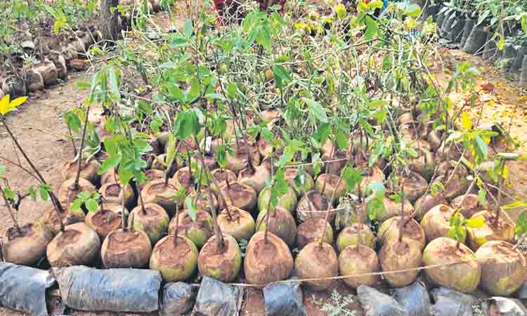 అబ్బురం ఆ ఆలోచన