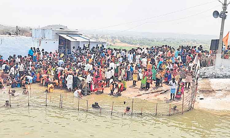 వైభవంగా బ్రహ్మోత్సవం