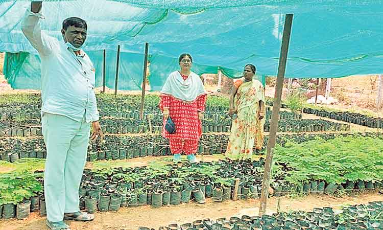 పనుల్లో నాణ్యత పాటించాలి