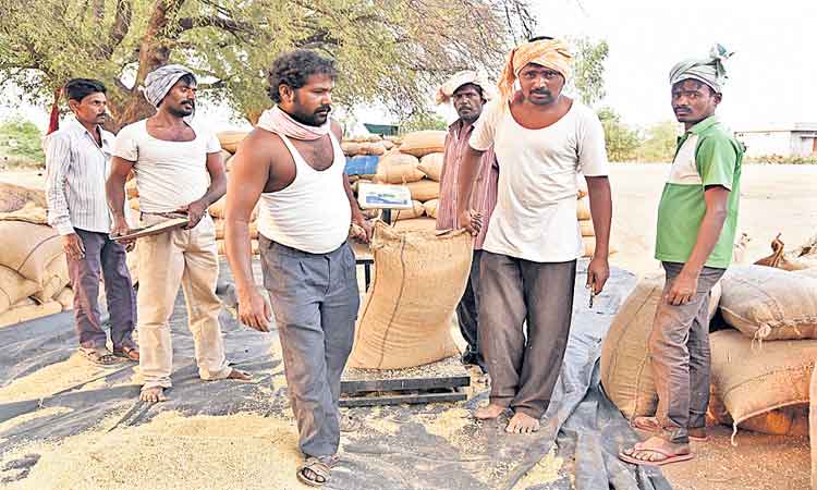 వడివడిగా.. వడ్ల కొనుగోళ్లు