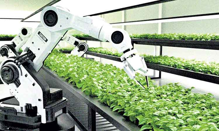 రోబోలతో హైటెక్‌ వ్యవసాయం
