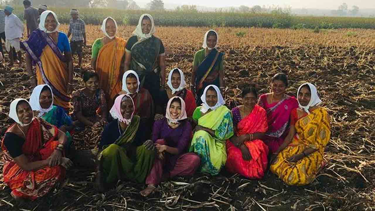 Sai Pallavi | కూలీగా మారిన సాయిప‌ల్ల‌వి..సినిమా కోస‌మైతే కాదు..ఫొటోలు వైర‌ల్