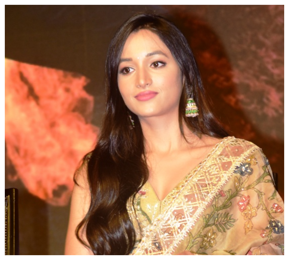 Srinidhi Shetty | KGF Chapter 2 ప్రెస్‌మీట్‌లో శ్రీనిధి శెట్టి..