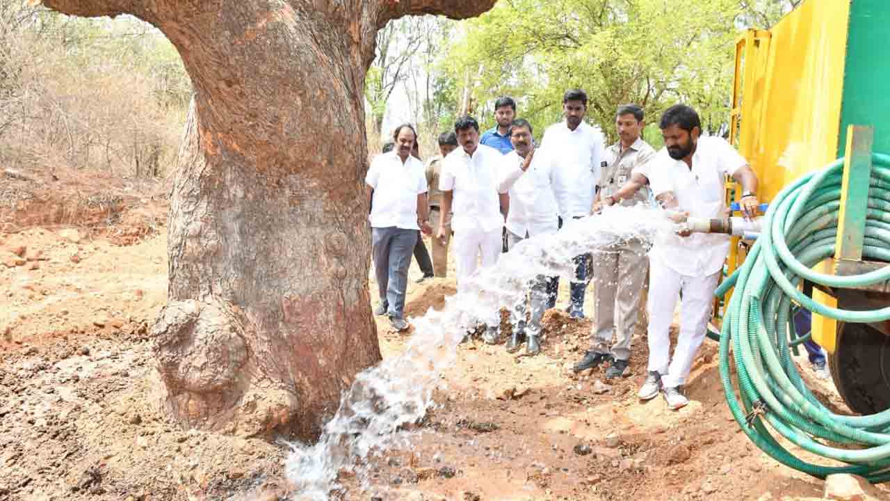 100 ఏండ్ల వృక్షాల‌కు ట్రాన్స్ లోకేష‌న్ : మంత్రి శ్రీనివాస్ గౌడ్