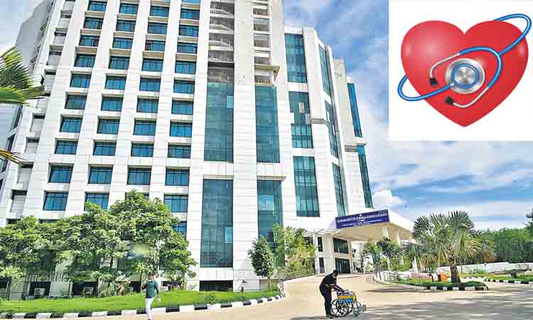 నలువైపులా వైద్యపథం