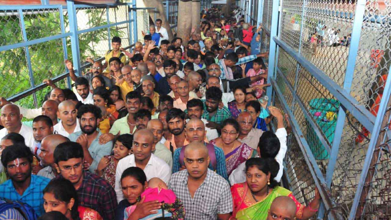 తిరుమలలో పెరుగుతున్న భక్తుల రద్దీ..