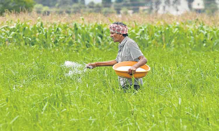తగ్గిన ఎరువుల వాడకం