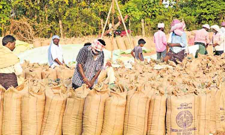 వడ్ల కొనుగోలుకు సన్నాహాలు